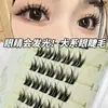 100 Racimos de Pestañas Postizas Estilo Perro de Gran Capacidad con Ojo Redondo Inocente Sin Pegamento para Personas Perezosas, Gruesas y Naturales, Segmentadas Artificiales de Cómics, Lote