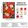 Flores secas prensadas naturales para materiales de decoración DIY, especímenes de plantas hechos a mano, marcapáginas de flores prensadas, pinturas decorativas