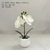 Adornos Creativos de Orquídea Phalaenopsis en Maceta, Productos Domésticos de Moda, Flores Simuladas, Películas Ecológicas, Plantas Verdes, Plantas en Maceta, Flores Artificiales al por Mayor