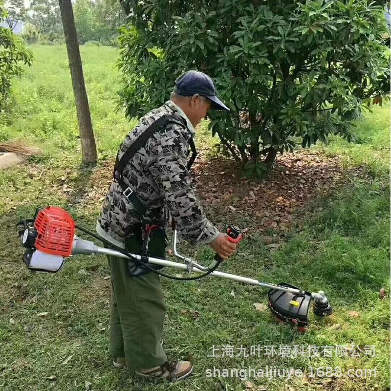 2509bd5d83bc32f824f890fc40d666