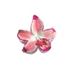 Nuevo Clip de Flor de Plumeria Colorido para Mujer, Súper Clip de Flor de Hada, Elegante Pinza de Tiburón, Accesorios para el Cabello para la Parte Trasera de la Cabeza