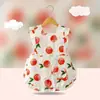 Bata de Bebé Jingqi Algodón Puro Impermeable Anti-Suciedad Vestido de Princesa Delantal de Comer de Verano Ropa Protectora para Guardería Babero