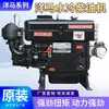 YANGXMRA Motor Diésel Monocilíndrico Refrigerado por Agua 12-40 Caballos de Fuerza Tractor Marino Motor Agrícola Arranque Eléctrico