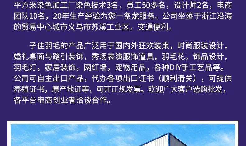 鸵鸟毛布条8-10_22