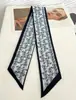 Bufanda de Seda de Anacardo para Mujer, Accesorios de Ropa Versátiles Estilo Coreano para Primavera y Verano, Cinta Larga, Bufanda Larga Francesa, Bufanda Relajada