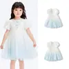 Vestido de Niña Balabala, Falda para Niños, Vestido de Verano, Falda de Malla Degradada para Niños, Dulce, Elegante y con Bordado Exquisito