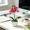 Mini 3 orquídeas artificiales Phalaenopsis en macetas aterciopeladas, suministro de exportación directa, flores artificiales de tacto realista, bonsái, accesorios para fotografía