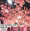 Ramas de flor de cerezo flor de durazno falsa plantas verdes de techo decoración enredaderas de flores de interior pared de celebridad de internet supermercado restaurante habitación cubierta superior fealdad