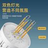 Nueva lámpara de camping para exteriores portátil iluminación LED carga TIPO-C archivo luz nocturna simple camping