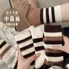 Meias Femininas Respiráveis Listradas Modernas Meia-Perna Outono e Inverno Nova Moda Meias Femininas Alta Elasticidade Não Apertam