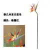 Sensación de Mano Flor de Ave del Paraíso de Rama Grande Artificial Alambre Arreglo Floral Artificial de Grulla Decoración para el Hogar y Hotel Venta al por Mayor Dropshipping