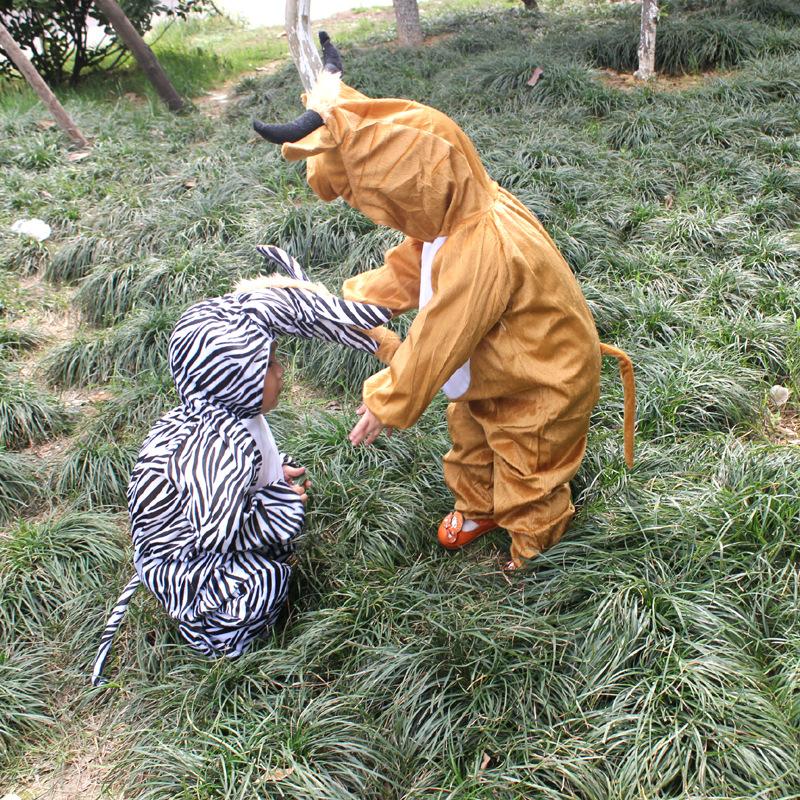 黄牛和斑马1