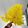 Hojas de Helecho Alpino Eterno al por Mayor del Fabricante: Hojas de Helecho Alpino Doradas, Flores Inmortales, Ramos de Flores Secas, Decoración de Bodas, Hierba Decorativa