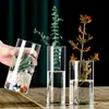 Jarrón de Vidrio Recto de Alto Borosilicato al por Mayor Transparente Recipiente para Arreglos Florales Decoración Planta Verde Paisaje Hidropónico Jarrón de Vidrio