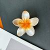 Horquilla de Pelo de Flor de Color Degradado Super Hada Pequeña Fresca Dulce Moda Clip de Agarre Grande Estilo Vacaciones de Playa Accesorios para el Cabello para Mujeres Venta al por Mayor