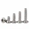 Tornillos Autorroscantes de Acero Inoxidable 304, Cabeza Redonda Phillips Pb, Cola Plana, Tornillos Autorroscantes de Cabeza de Lenteja Phillips, Venta al por Mayor Personalizada