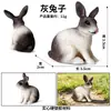 Crianças Simulação Veado-de-cauda-branca Animal Alce Veado Sika Modelo Ornamentos Sólidos Conjunto Brinquedos de Natal