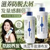 XH Champú Nutritivo Anti-Caspa con Hoja de Ciprés y Polygonum Multiflorum, Control de Grasa, Voluminizador, Limpieza Profunda