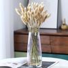 Pequeño ramo de flores de celebridades de Internet para el hogar, sala de estar, decoración nórdica, adornos, ramas secas, arreglos florales, cola de conejo, hierba, flores secas.