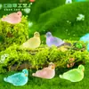 Paisaje de musgo en miniatura transfronterizo creativo pájaro paloma pequeño luminoso accesorios decorativos DIY mini adornos pequeños
