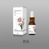 Exportar Óleo Essencial Solúvel em Água Umidificador Óleo Especial para Aromaterapia Máquina de Aromaterapia Óleo Especial para Aromaterapia Líquido para Perfumar o Ar