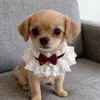 4 Peças de Gola de Renda para Cachorros Gatos, Gola Princesa Ajustável Macia com Laço de Veludo e Pérola, Adereço Fofo para Fotos de Pets para Todas as Estações