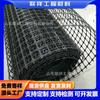Geomalla de Tracción Bi-axial Tgsg50-50 Ggr/Pp/Bs/50-50 Geomalla Bidireccional