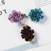 DIY flor de clavel de tela flor enrollada accesorios para el cabello flores para zapatos flores pequeñas hechas a mano adornos accesorios clavel de poliéster