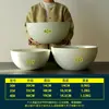 Cuenco Grande Grueso Nórdico Simple Florero de Plástico Hidropónico de Loto Hierba de la Fortuna Jacinto de Agua Utensilios Especiales para Cultivo de Peces No Poroso