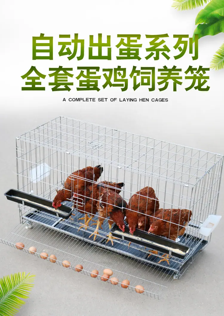 电脑_01