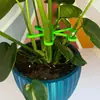 Soporte para tallos de plantas, clip de fijación para plantas, marco de soporte para plantas trepadoras, marco para recolección de tallos de flores, juego de 4 piezas