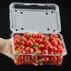 Caja de Embalaje Desechable Gruesa para Frutas, Caja de Embalaje de Plástico Grueso Transparente, Caja de Plástico de Grado Alimenticio, Caja para Pasteles