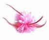 Adorno de cabeça para noiva flor pulso pena corsage pérola pena de galinha acessórios de cabelo performance infantil adorno de cabeça performance flor atacado