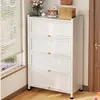 Zapatero de Acero para Uso Doméstico, Gabinete de Almacenamiento Multicapa contra la Pared, Zapatero a Prueba de Polvo para Entrada de Apartamentos de Alquiler