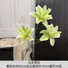 Esquema de Cores Verde Abacate, Arranjo de Ambiente de Alto Padrão, Exibição de Arte Floral, Montagem de Atmosfera Simples e Criativa