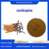 Cordyceps sinensis 1% Extrato de micélio de Cordyceps multiespecificação Pó de micélio de Cordyceps multiespecificação pedido mínimo de 1Kg