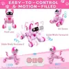 Gato Robot Táctil con Control Remoto para Niños, Robot Perro de Voz para Educación Temprana, Juguete de Programación con Control Remoto para Niños