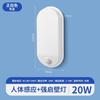 Lámpara de pared LED inteligente con inducción de cuerpo humano impermeable para exteriores, radar, pasillo, escalera, pasillo, lámpara de inducción con control acústico-óptico