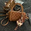 Bolsa de almohada con lazo de lunares popular transfronteriza 2026 Nuevo estilo de otoño Tendencia de moda Bolso de mano diario Bolso de hombro Bolso cruzado