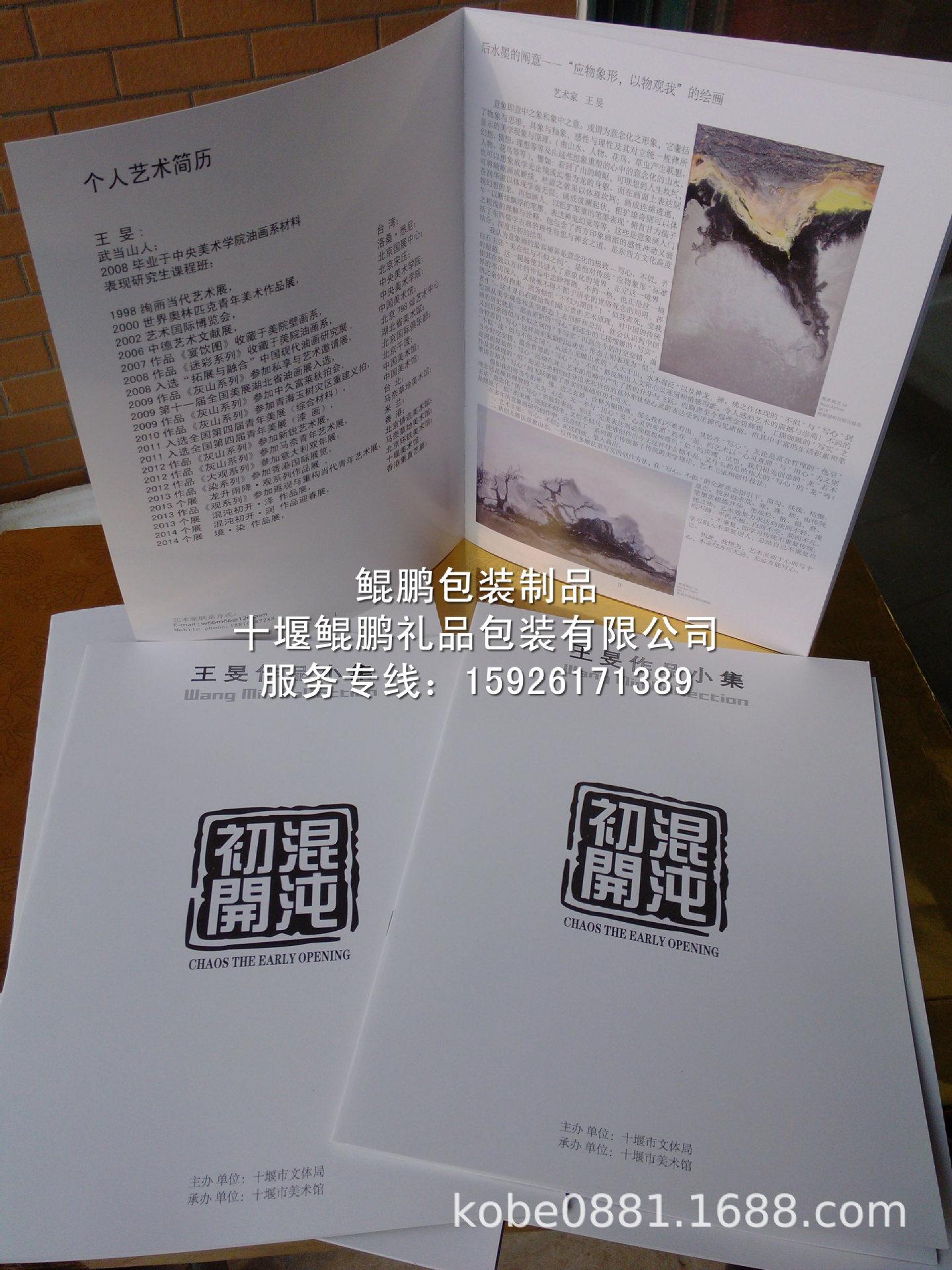 宣传画册精装书混沌初开1.jpg
