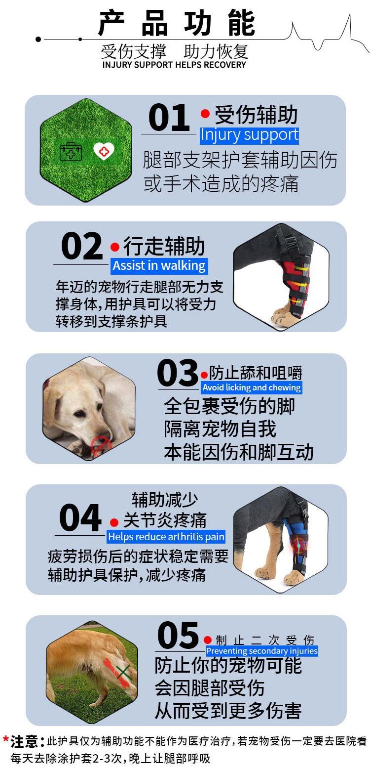 6.JPG