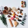 Fruta Fixa Natural Planta Fruta Casca Espécime Material Decoração Flores Secas Fatias Jardim de Infância DIY Pacote de Material de Natal