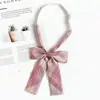 Corbata Rosa para Hombres y Mujeres con Estilo de Cremallera, Decoración de Camisa Casual Juvenil para Mujeres, Estilo K, Corbata Estilo JK Japonés