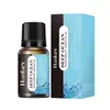 Óleo Essencial Aromaterapia Solúvel em Água Full English Transfronteiriço Máquina de Aromaterapia Óleo Especial Carro Hotel Casa Líquido de Recarga