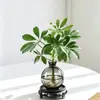 Las plantas hidropónicas traen riqueza de todas partes, plantas hidropónicas de madera de pata de pato, flores en maceta, plantas verdes de oficina, purificación de interiores para la sala de estar