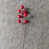 Fruta de la Fortuna Artificial al por Mayor, Flores de Año Nuevo Transfronterizas, Pequeños Accesorios de Regalo de Frutas Rojas, Accesorios para Fotografía, Artículos Decorativos, Tenedores de Frutas Rojas