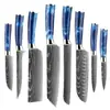 Juego de Cuchillos de Chef para Venta al por Mayor en Amazon Transfronterizo, Santoku Rebanador Fruta Multi-propósito Deshuesador Cuchillo de Cocina Juego de 10 Piezas