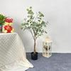 Simulação de estilo nórdico eucalipto planta verde folha grande planta verde simulação decoração escritório simulação horizontal jardinagem planta verde