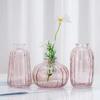Vaso Pequeno Criativo Ins Simples de Luxo Leve Retro de Vidro Transparente Decoração de Arranjo de Flores Hidropônicas Mini Ornamento de Mesa