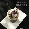 Conjunto de Presente Elegante com Pedra Difusora de Fragrância, Decoração Aromaterápica Sem Chama de Longa Duração com Óleo Essencial para Casa, Pequeno Conjunto de Presente para Inauguração de Casa